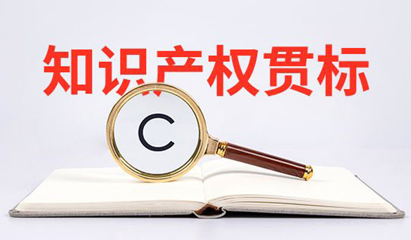 知識(shí)產(chǎn)權(quán)貫標(biāo)